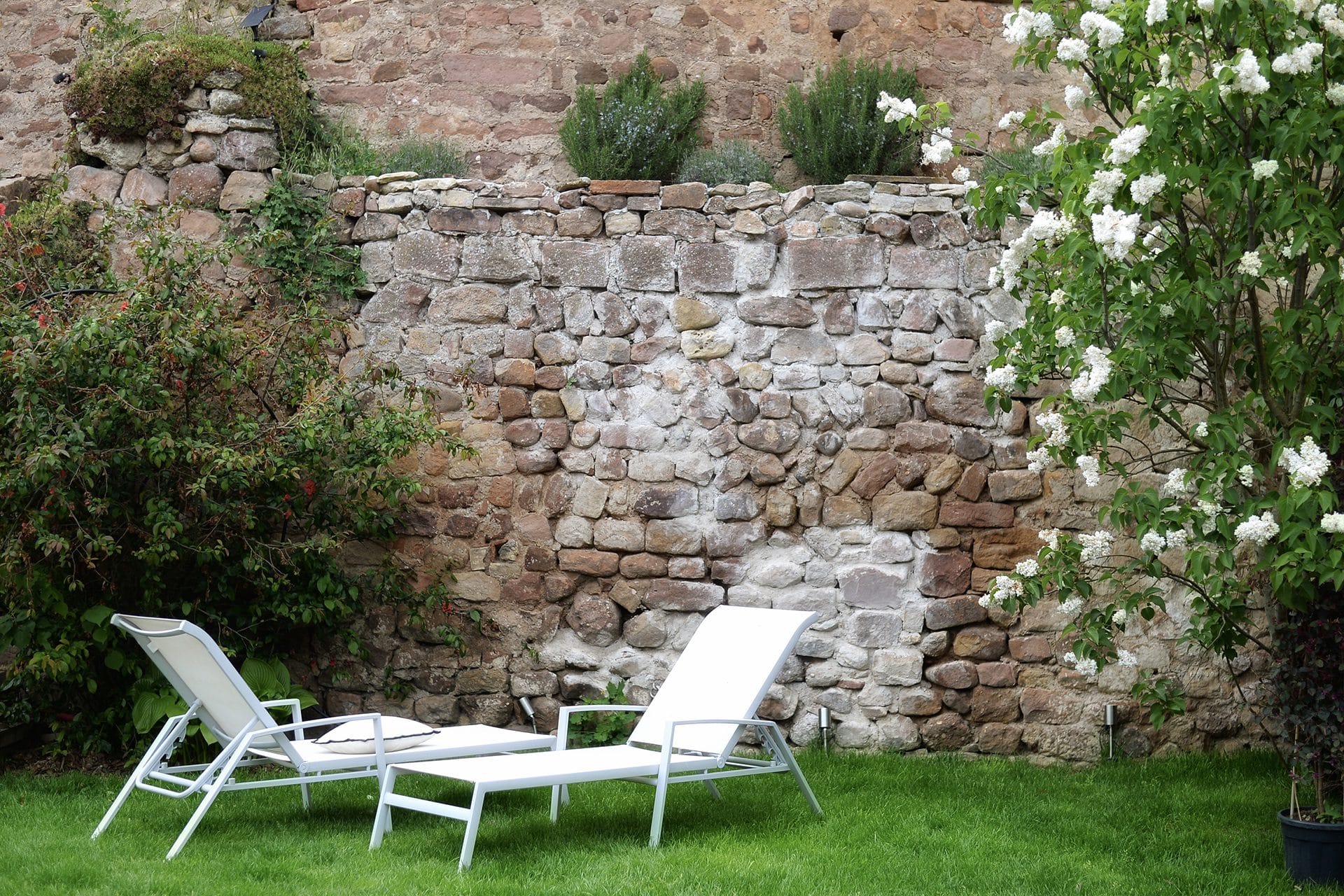 Maison hôtes Alsace jardin